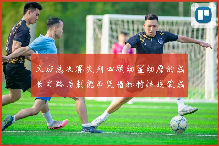 文班总决赛失利回顾幼鲨幼詹的成长之路马刺能否凭借独特性逆袭成功